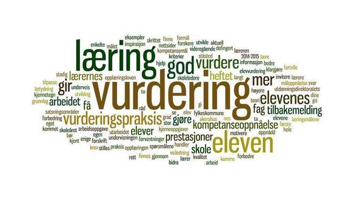 Lenke til artikkel: Elevundersøkelsen 2026
