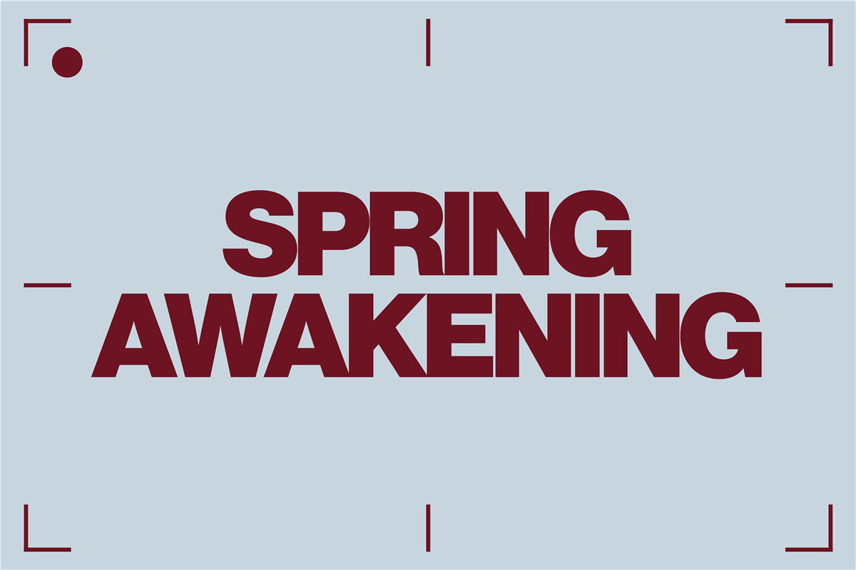 Mlw Spring Awaking Logo Spring Awakening - Stavanger katedralskole