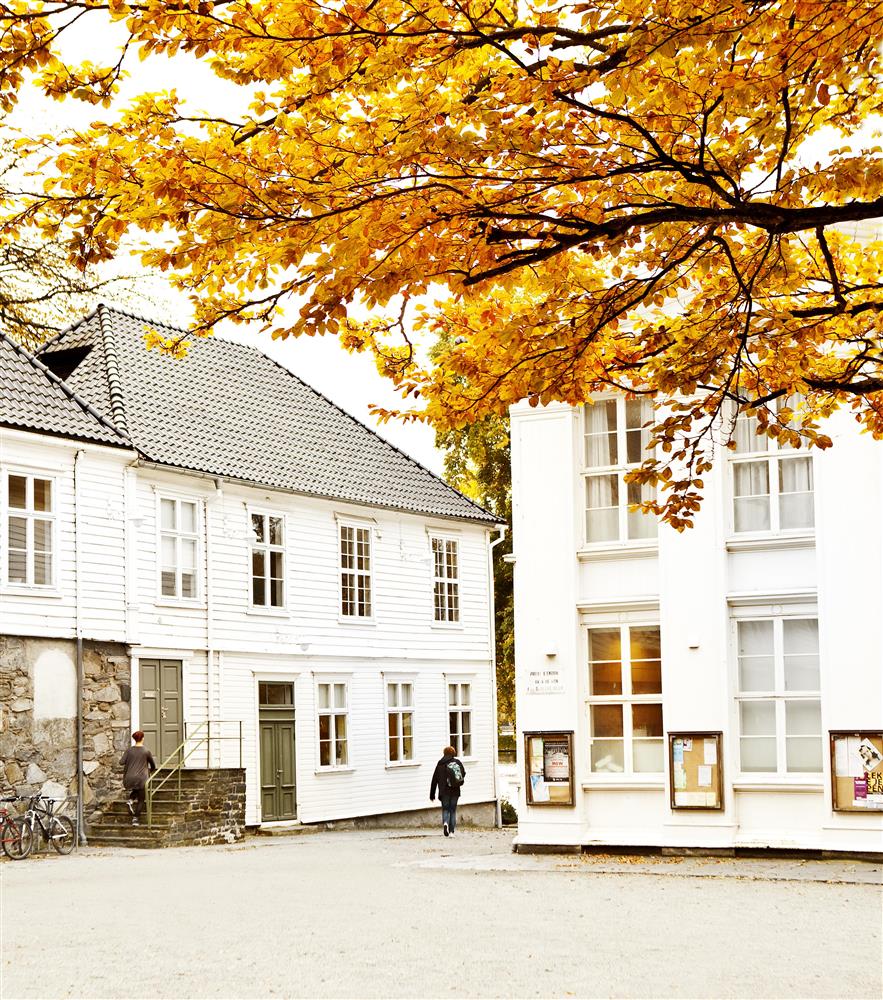 Klikk for stort bilde